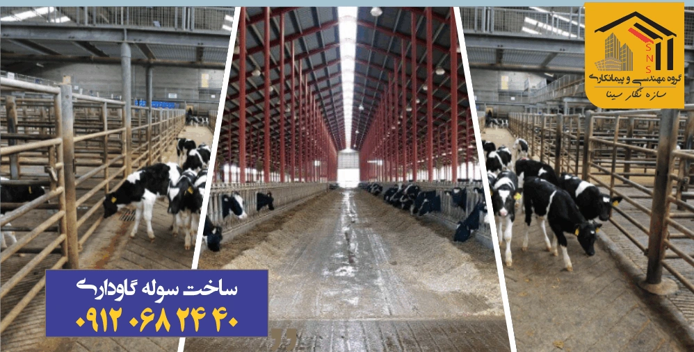 بهترین سوله ساز گاوداری دامداری